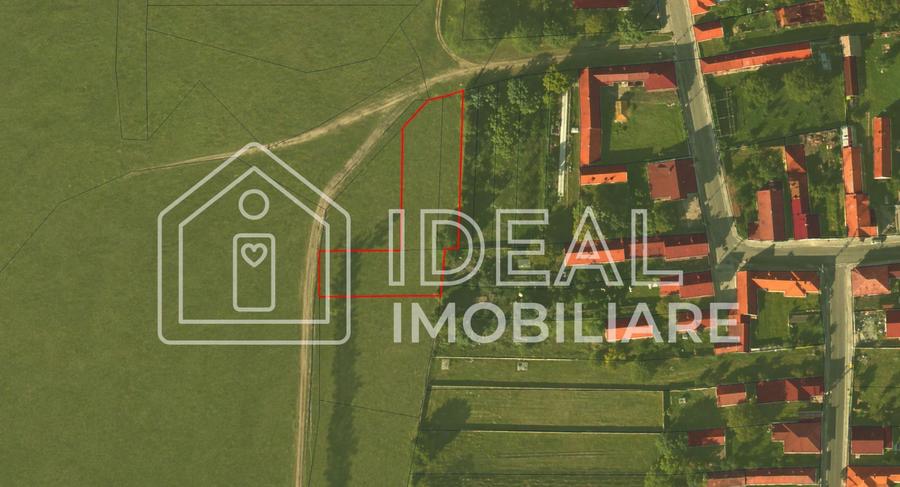 Teren intravilan | 1829mp | Cârțișoara