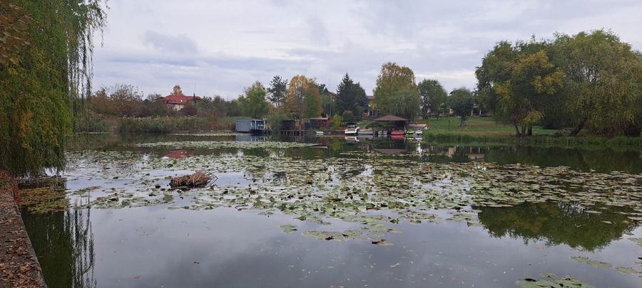 OAZA DE LINISTE SI RAFINAMENT LA MALUL LACULUI