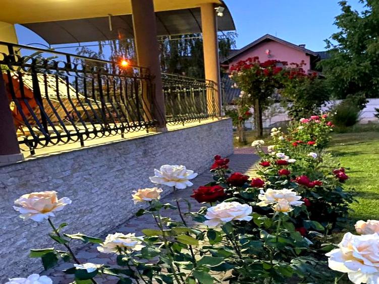 Casa D+P+1 Garaj dublu 2 Terase 925 mp Teren CETATE Kaufland Finisata Mobilata
