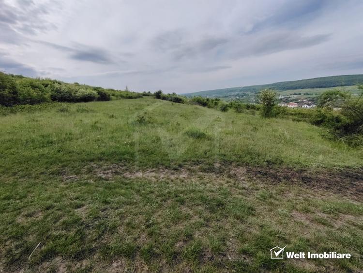 8.700 mp pentru dezvoltare rezidentiala la 3 km de CREIC - Chinteni