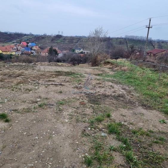 Vanzare Teren intravilan 3133 mp strada Sofiei, Oradea, Bihor - Exclusivitatate