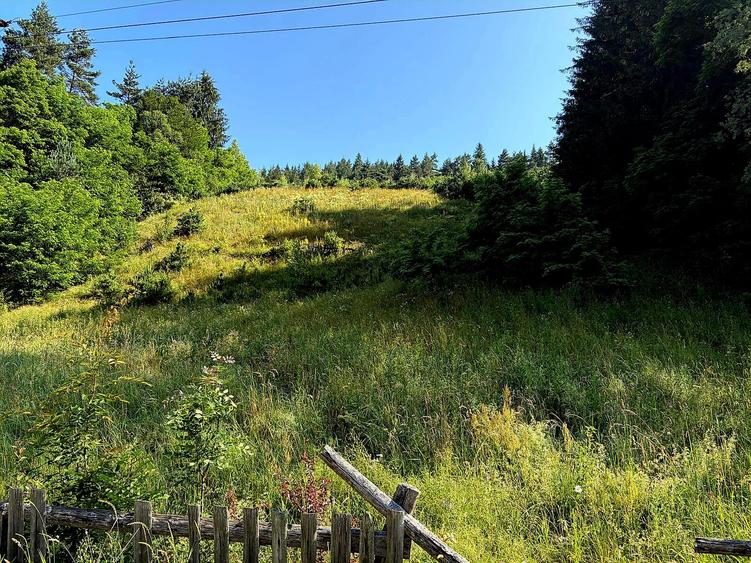 Teren extravilan de vânzare – Șinca Nouă, Brașov | 10.290 mp