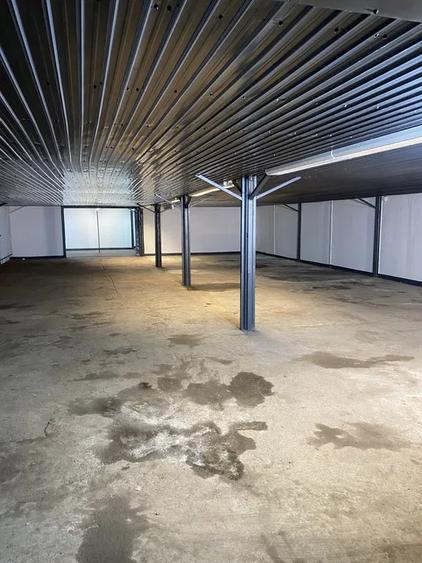Hala pentru depozitare/productie, 810mp, zona Bulgaria