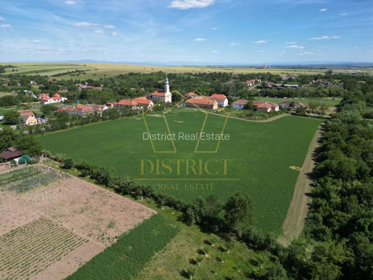 Teren de 1.6ha ideal pentru dezvoltare rezidentiala sau proiect turistic - 6
