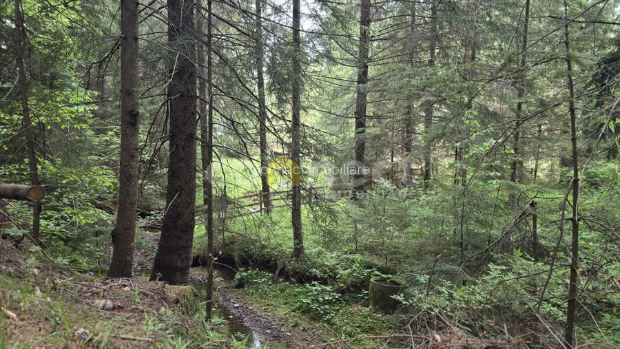 De vânzare casă de vacanță deosebită | Călățele Pădure – Dealul Negru, Cluj - 15
