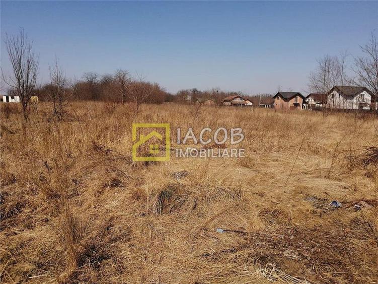 Teren 6208 mp Bacau / Strada 2 Stejari