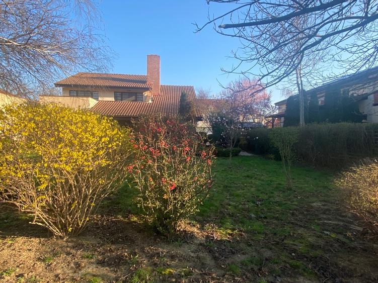 Direct de la proprietar vilă individuala cu gradina in zona linistita