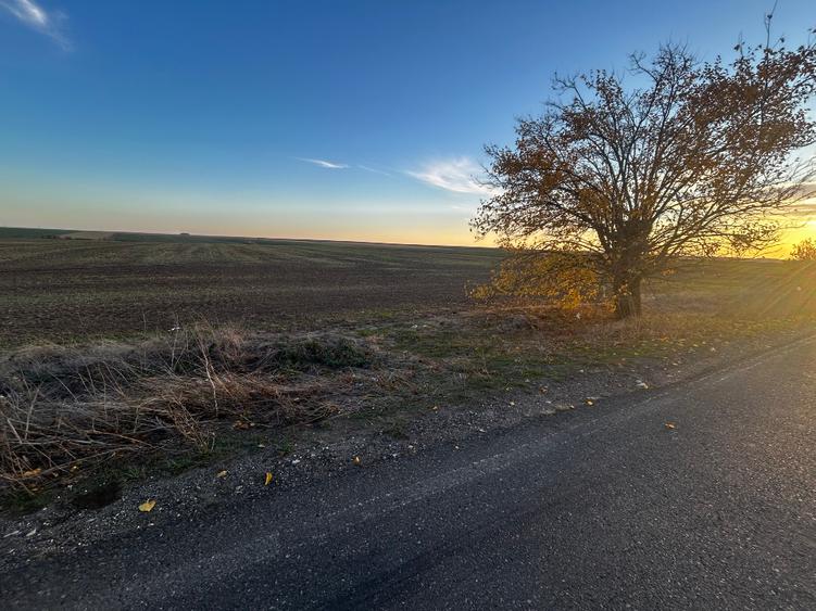 Teren extravilan de vânzare