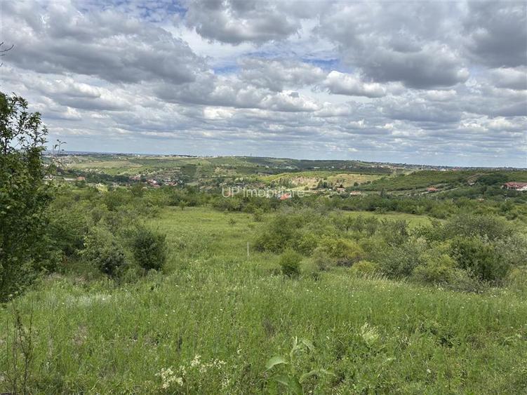 TEREN INTRAVILAN  |  1.824 MP  |  DEALURI  |  ORADEA - 3
