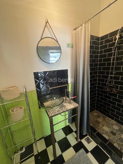 Casa singulara, 1 apartament, intrare din strada - 5