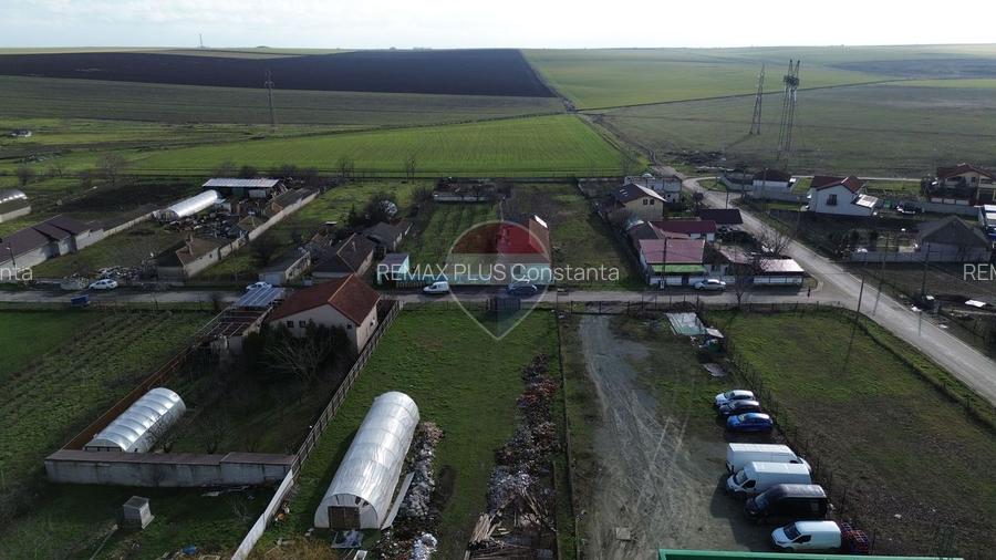 Hala de vanzare- Ovidiu - 9