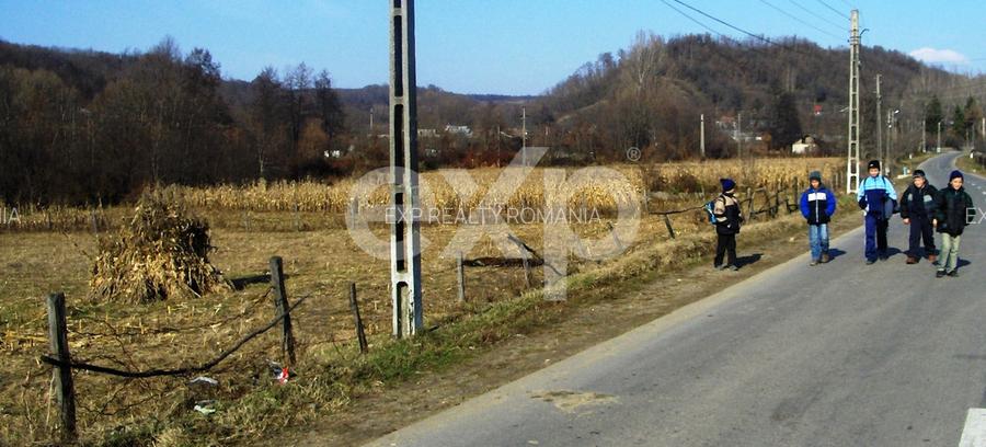 Teren intravilan 21.000 mp de vânzare – Suseni, Comuna Bogați, Județul Argeș - 7