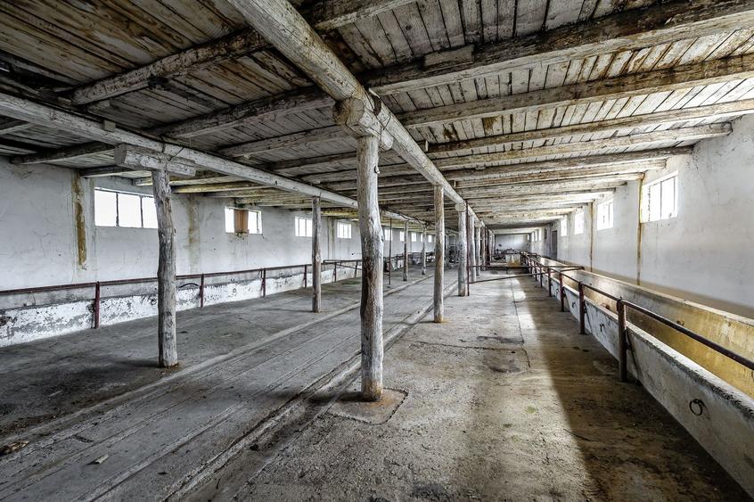 Fermă Mândruloc 2,5 ha
