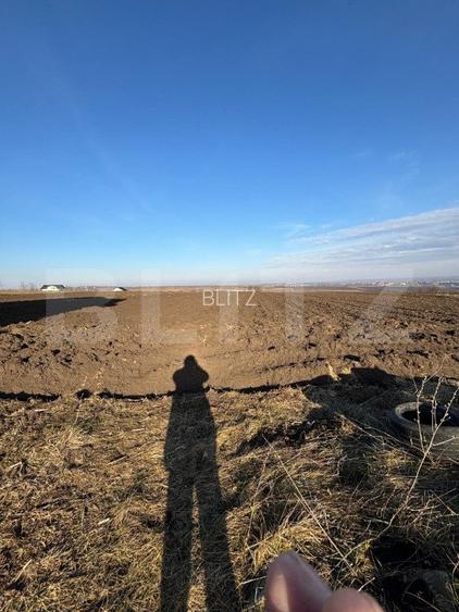 Casa la rosu, cu 3 camere, 120 mp utili, 5000 mp teren, zona Frumoasa - 4