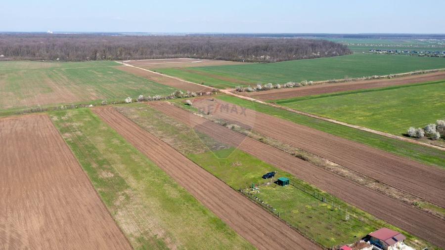 Vanzare teren intravilan 500 mp Sabareni /  Strada Orhideelor