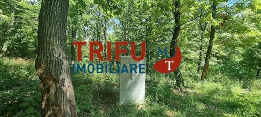 Teren intravilan 3177 mp de vanzare Alba-Micesti spre padure cu PUZ aprobat
