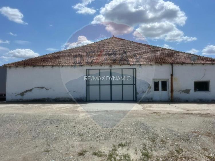 Spațiu Industrial de inchiriat | Sofronea, Arad - 8