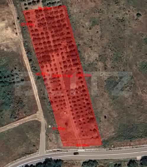 Teren intravilan - 4200 mp, parcelabil, construibil, cu livada, Răscruci