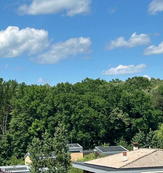 Duplex cu 4 camere , 174mp Iancu Nicolae lângă pădure