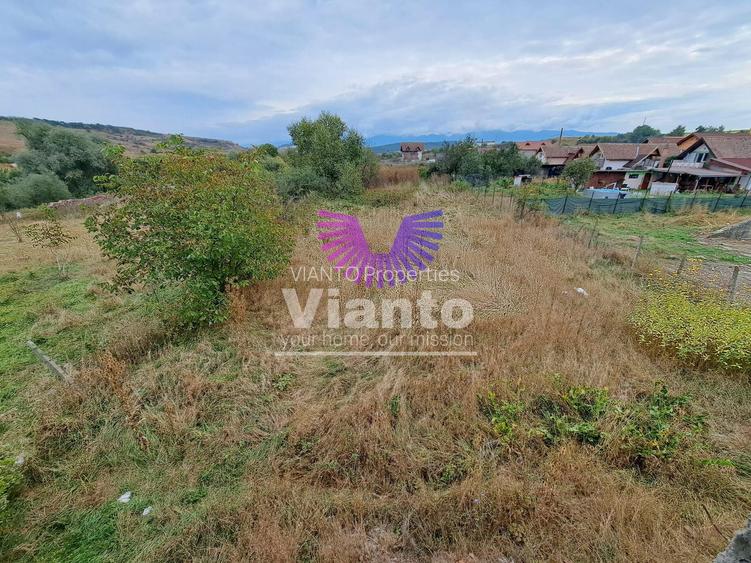 CASA 4 CAMERE 136 MPU SI TEREN 825MP IN DAIA - 16