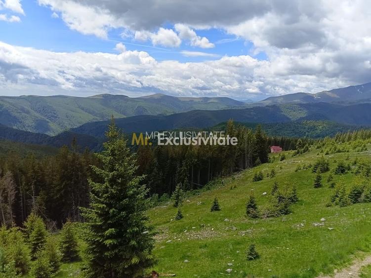 Cabană P+M de vânzare în Rânca - 26