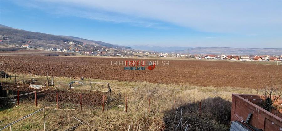 Casa de vanzare S+P+E Alba Micesti 670mp teren - 14