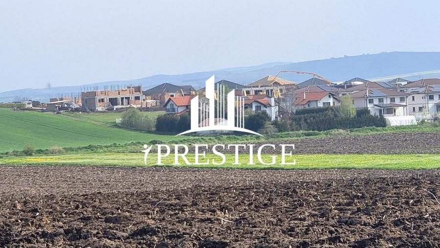 TEREN DE VÂNZARE ȘURA MICĂ 10.000 MP | 2 FRONTURI STRADALE, INVESTIȚIE