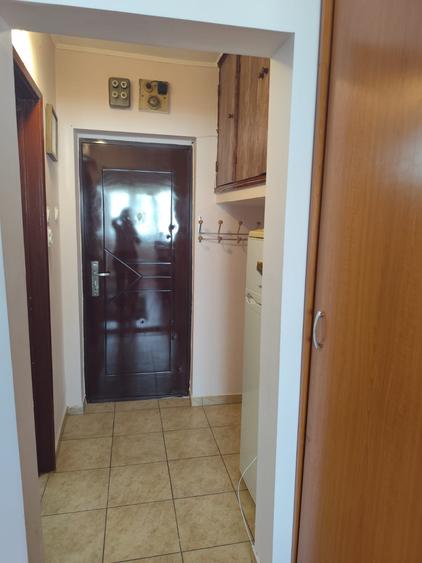 Dristor, garsoniera la 1 minut de metrou, libera, mobilata si utilata