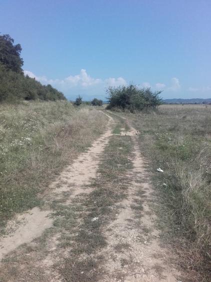 Teren, loc de casă, vânzare 3500 mp Cornesti-Bălești-Gorj, 2 euro mp