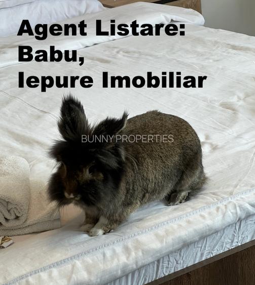 QG268 | 2nd Smallest "Apartment" in Romania? Babu Recomends - 1
