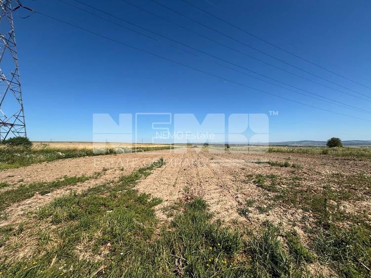 Teren intravilan | 1300 MP | 1000€  arul - 2