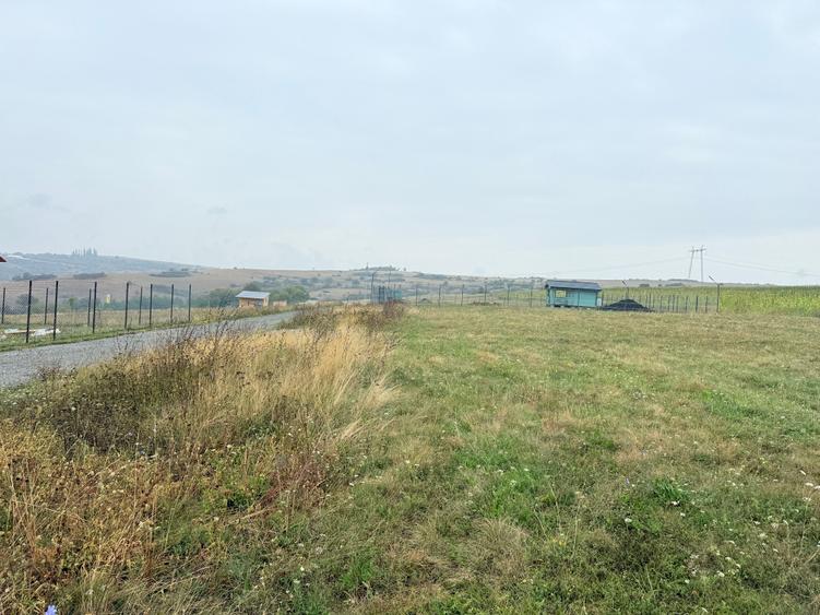 📏 teren pentru cabane Sibiu, Dealul Daii, Casolt, direct de la proprietar