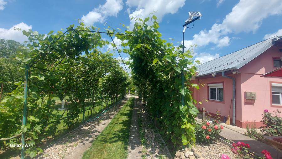 Snagov- Gruiu- Santul Floresti -Proprietate cu stil pentru oameni gospodari!