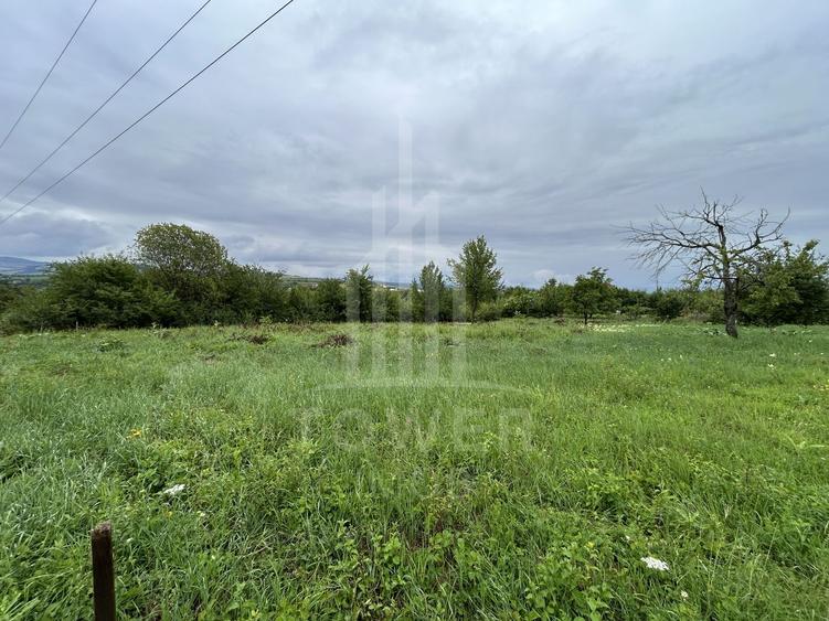 Teren intravilan de vânzare în Daia Nouă – 1.000 mp