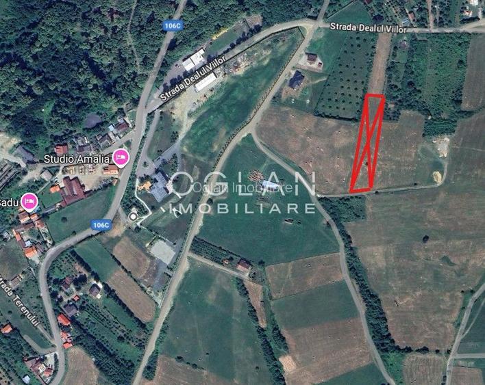 Teren Tocile (parcelabil) 3500 mp - 2