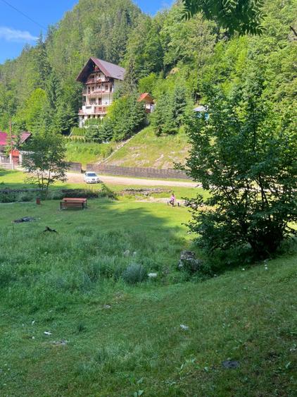 Vand Pensiunea Stanca Vulturului Dambovicioara, 2020, 350 mp utili, 390 000 eur