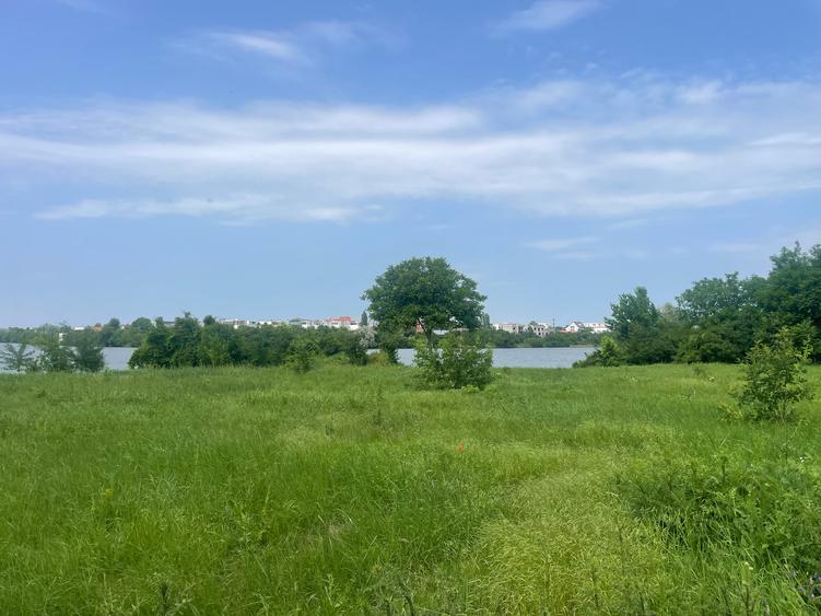 Damaroaia-Coralilor Deschidere Lac Grivita