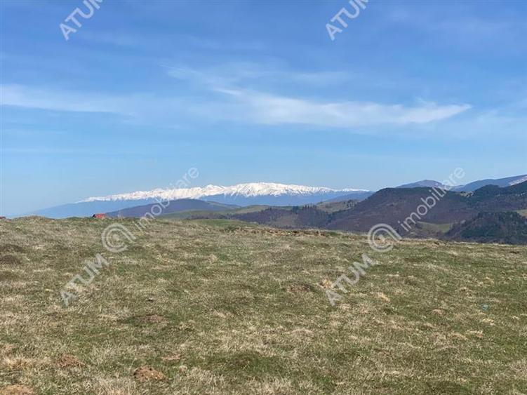 Teren intravilan de 3000 mp cu utiltati si PUZ in Paltinis Judet Sibiu