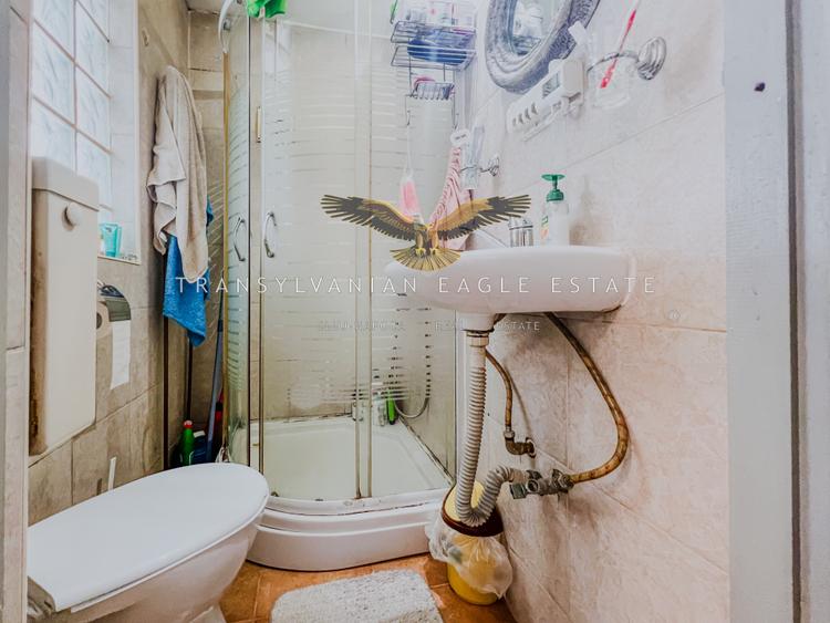 Pet friendly|Apartament primitor situat la vila in Andrei Muresanu