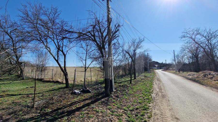 Oportunitate de investitie! 3 ha, 102m front, intravilan, utilitati, Jucu de Sus - 3