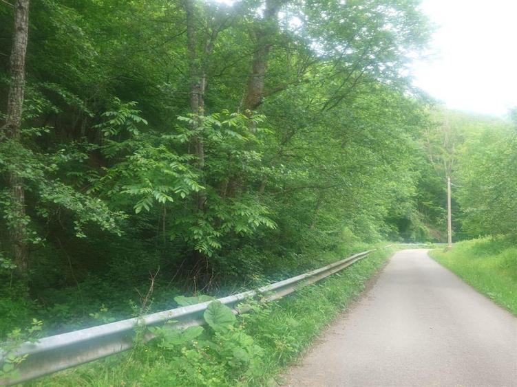 Teren in Bulzestii de Sus 9757mp