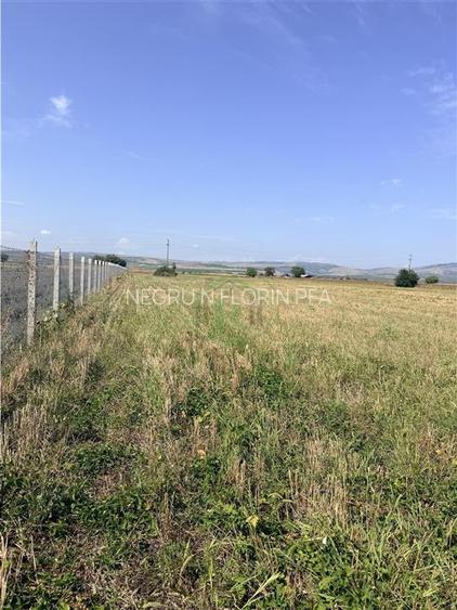Teren DN2 B Buzau - Ploiesti - Sahateni ! - 4