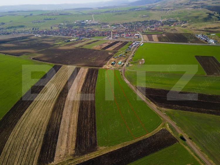Teren de vanzare, 8.000 mp, zona Copaceni