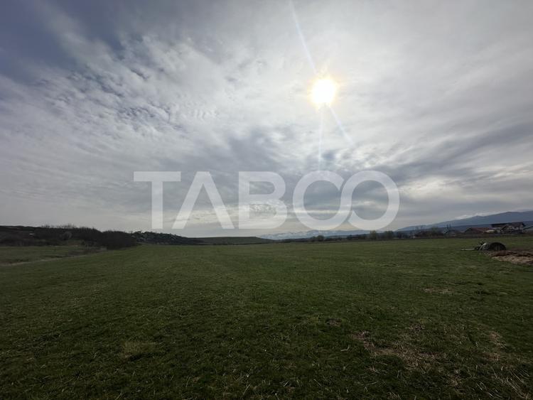 Teren 23.486 mp, deschidere 80 m, ideal comercial/industrial