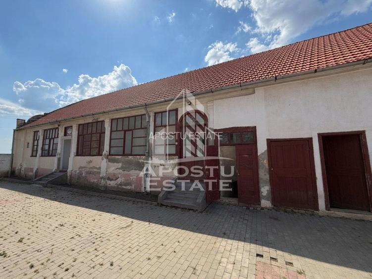 Casa de vanzare in Sandra, 5755 mp, teren, acoperis nou - 11