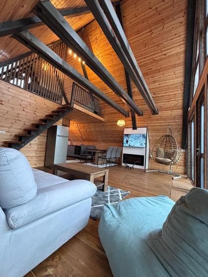 A-Frame de vânzare Bran