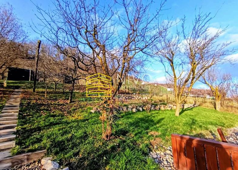 Casă singur în curte – Curteni