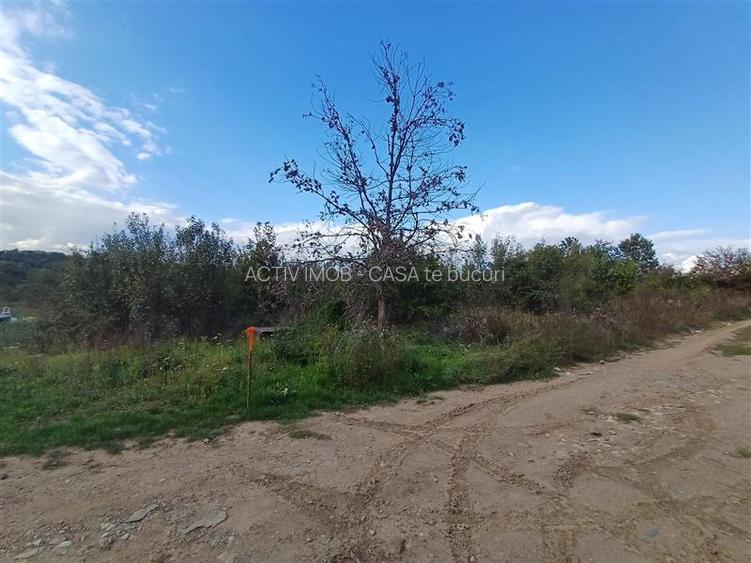 Resita, Teren Intravilan 2819 Mp., 16 Euro Mp., Calea Caransebesului, Km. 6 - 6