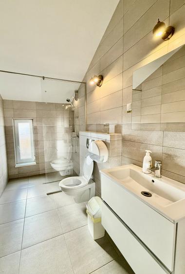Casă individuală multifuncțională în Gruia – investiție excelentă, 550 mp utili