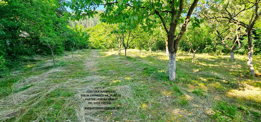 Vila P+1+5600 mp teren, proprietate de 5 km de oras